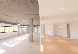 LOCALNÚMERO4 4126
