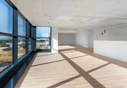 Planta 02 07